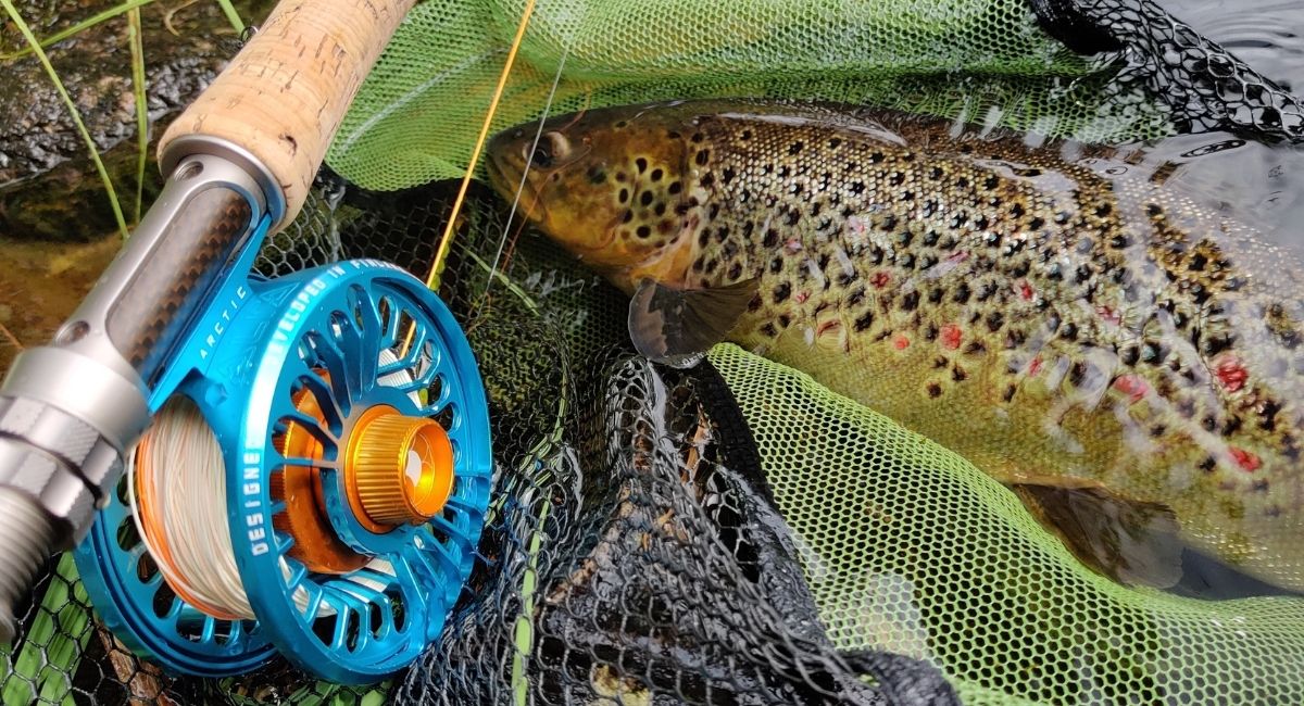 Erakontion Kalastus Kauppa 2 Erakontion Kalastus Kauppa -Erakontion Kalastus Kauppa 5